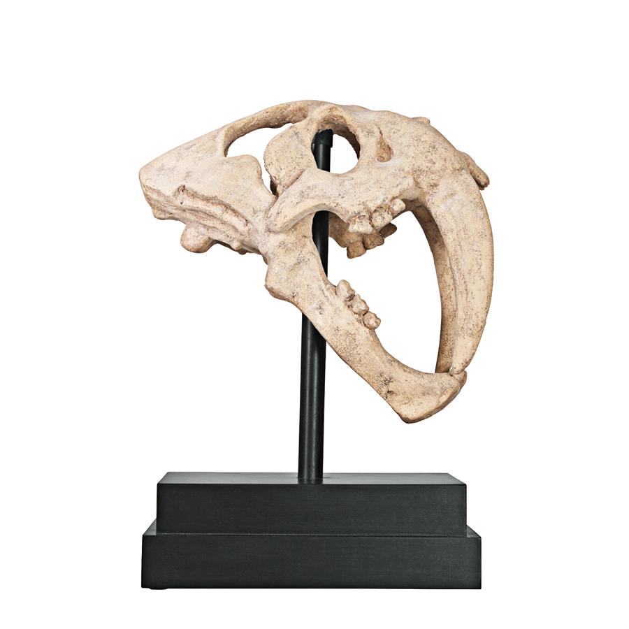 Saber-toothed Tiger Skull Artifact