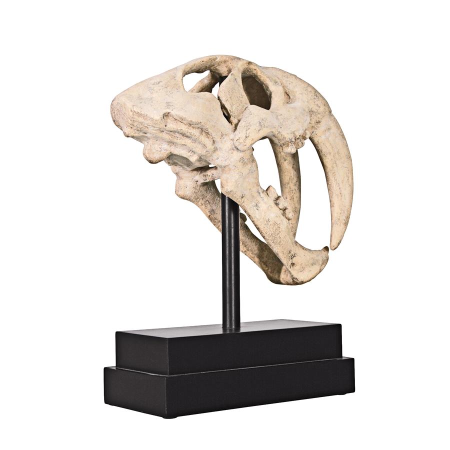 Saber-toothed Tiger Skull Artifact