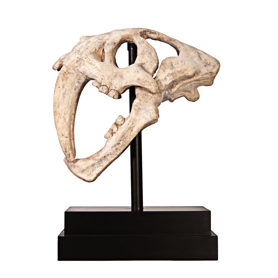 Saber-toothed Tiger Skull Artifact