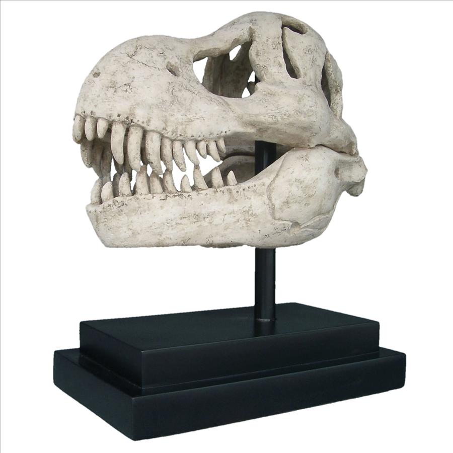 T-Rex Dinosaur Skull Fossil Statue on Museum Mount