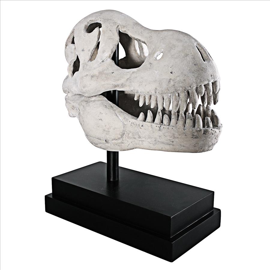 T-Rex Dinosaur Skull Fossil Statue on Museum Mount