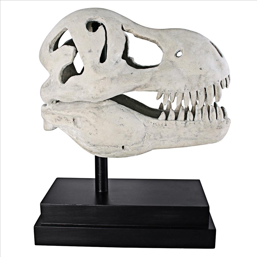 T-Rex Dinosaur Skull Fossil Statue on Museum Mount