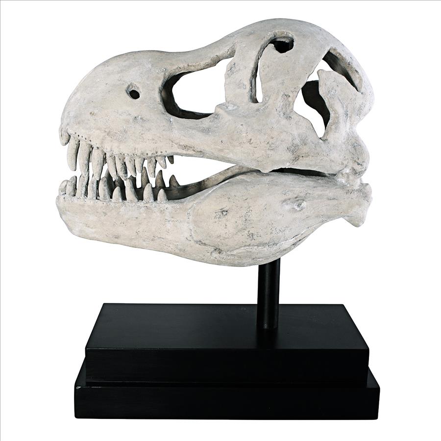 T-Rex Dinosaur Skull Fossil Statue on Museum Mount