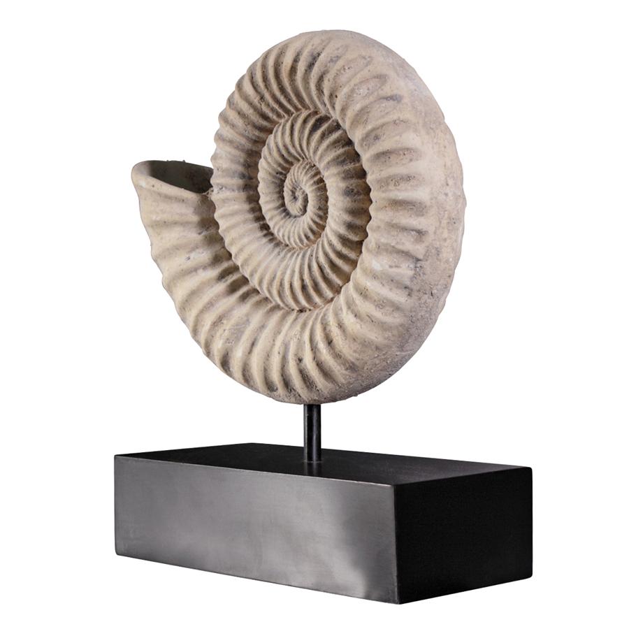 Ammonite Fossil Sculpture on Museum Mount