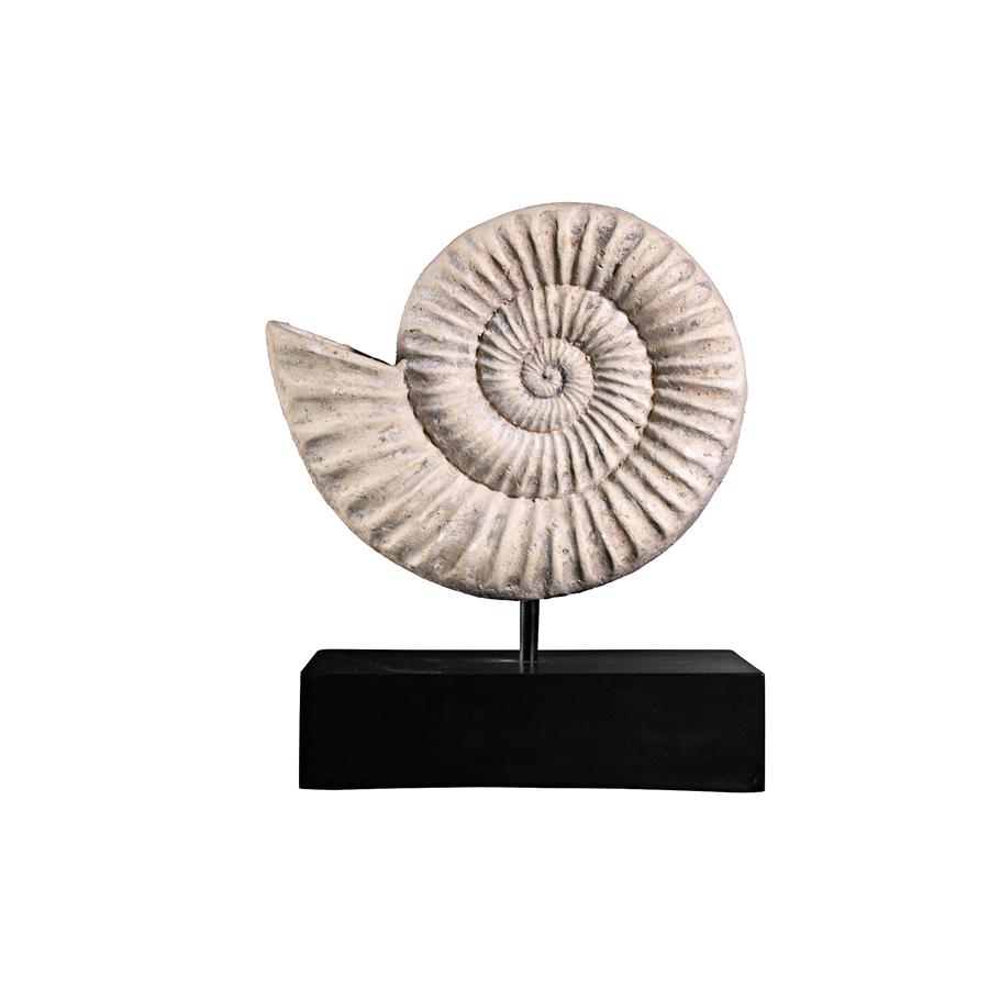 Ammonite Fossil Sculpture on Museum Mount