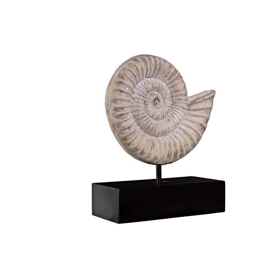 Ammonite Fossil Sculpture on Museum Mount