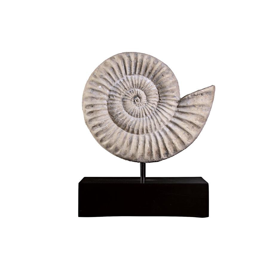 Ammonite Fossil Sculpture on Museum Mount