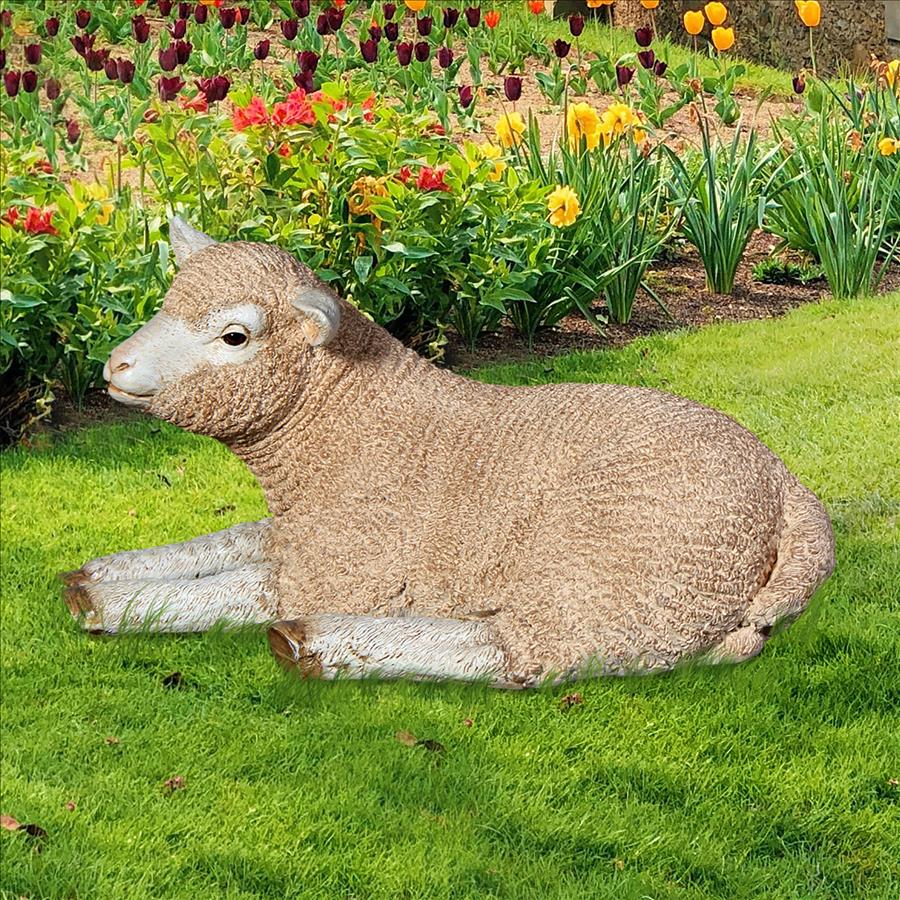 Merino Ewe Life-Size Lamb Statue: Resting