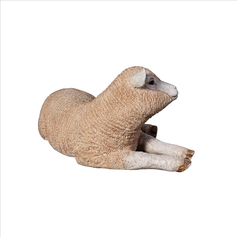 Merino Ewe Life-Size Lamb Statue: Resting