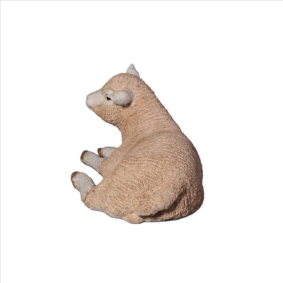 Merino Ewe Life-Size Lamb Statue: Resting