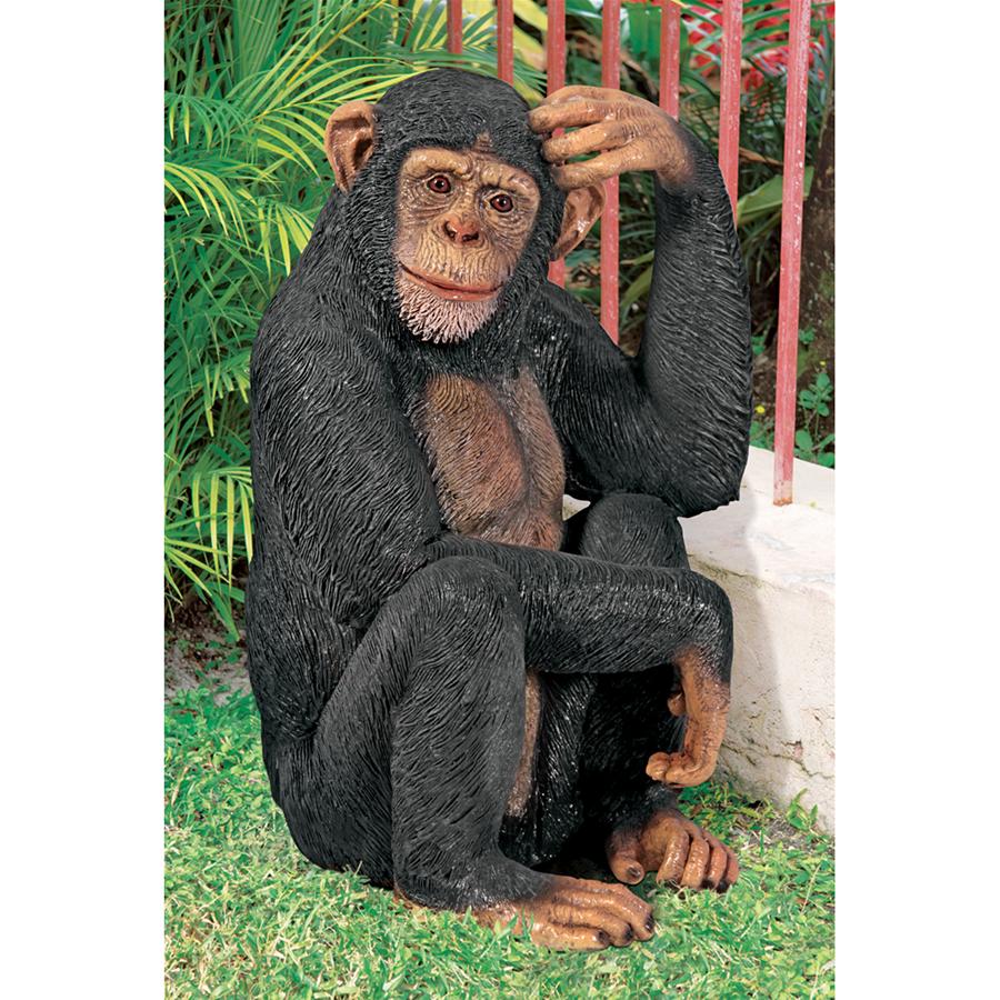 Chauncey the Confused Chimp Garden Monkey Statue