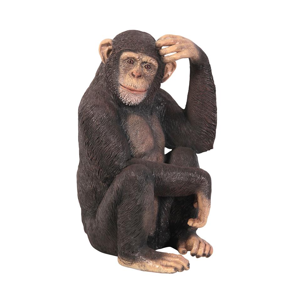 Chauncey the Confused Chimp Garden Monkey Statue