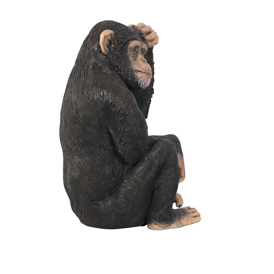 Chauncey the Confused Chimp Garden Monkey Statue