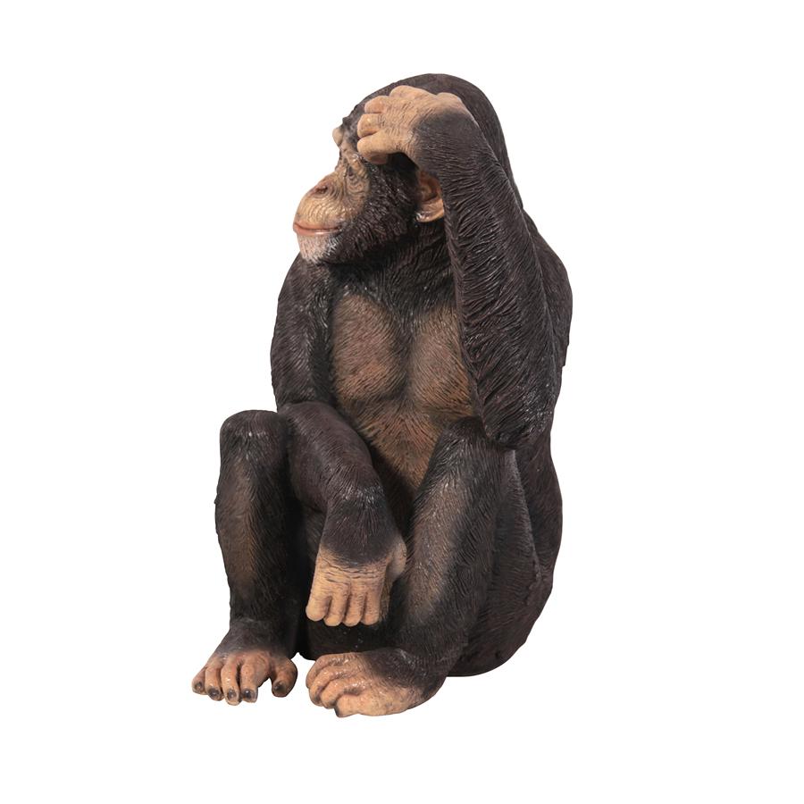 Chauncey the Confused Chimp Garden Monkey Statue