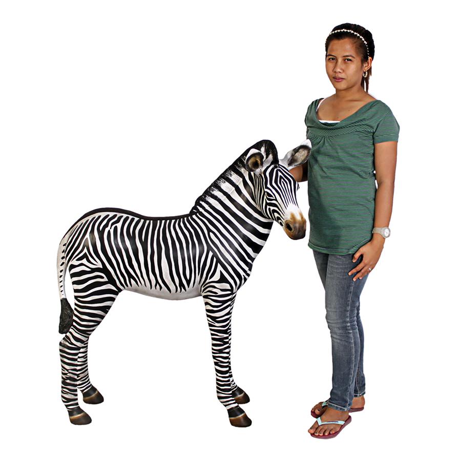 Grand-Scale African Zebra Foal Statue