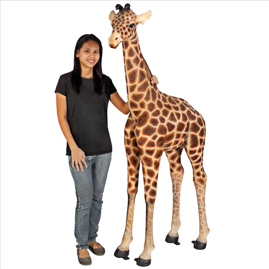 Baako Grand Scale Baby Giraffe Garden Statue