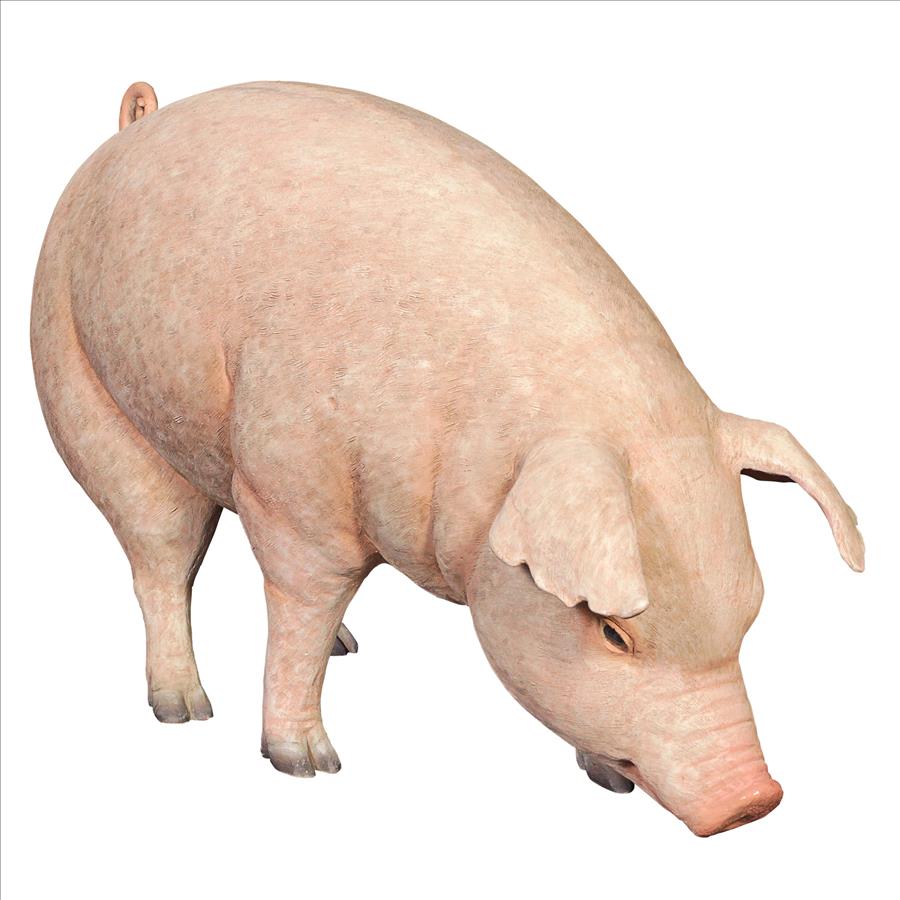 Divine Swine Life-Size Farm Pig Statue