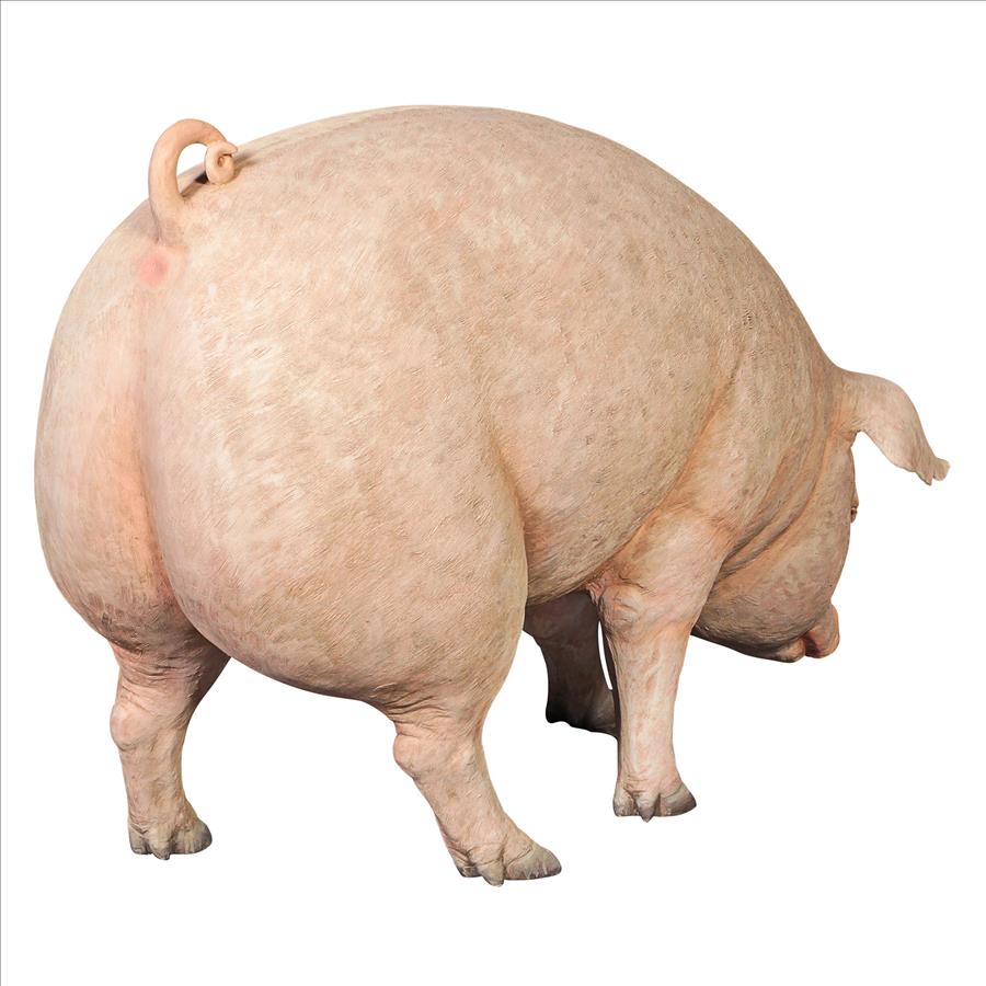 Divine Swine Life-Size Farm Pig Statue