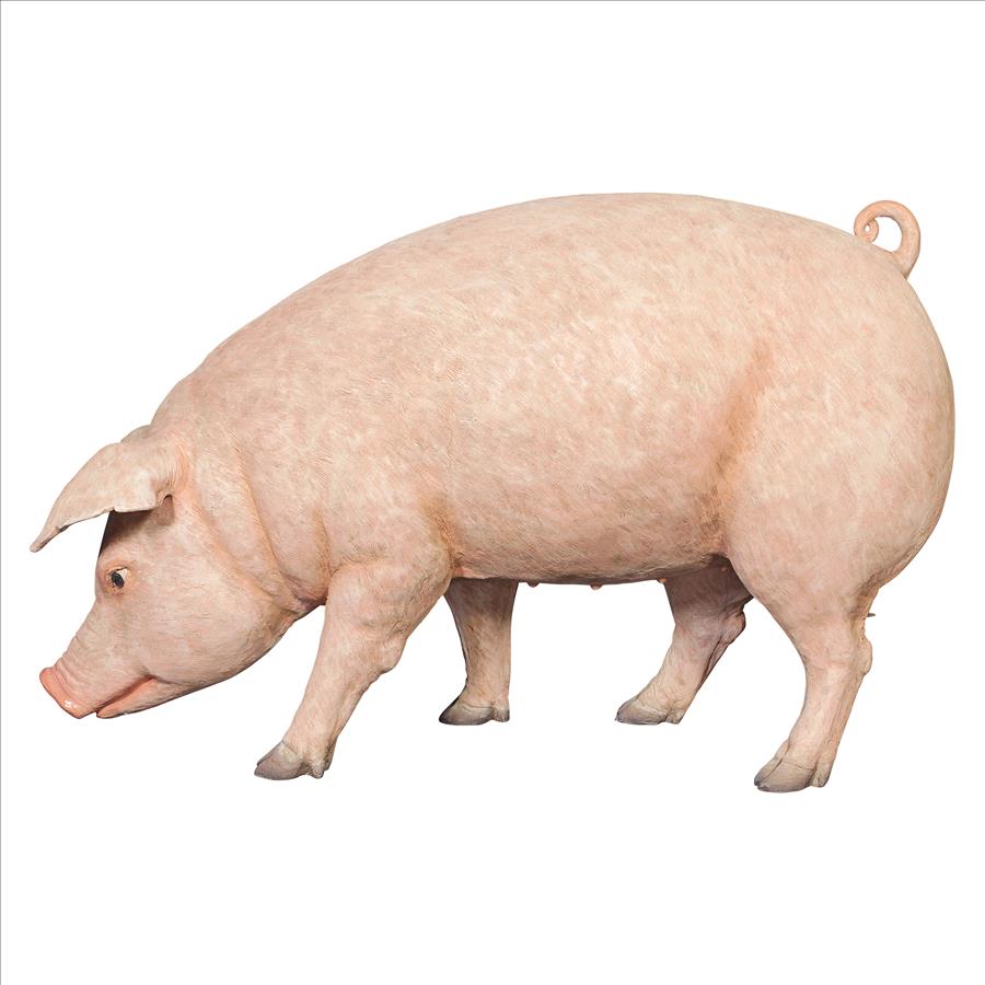 Divine Swine Life-Size Farm Pig Statue