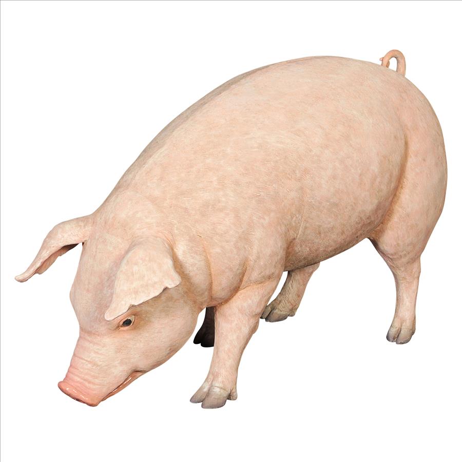 Divine Swine Life-Size Farm Pig Statue