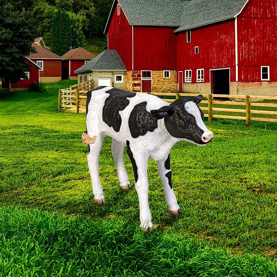 Buttercup, the Life-Size Holstein Calf Dairy Cow Statue