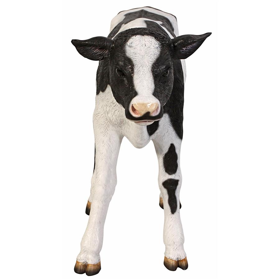 Buttercup, the Life-Size Holstein Calf Dairy Cow Statue