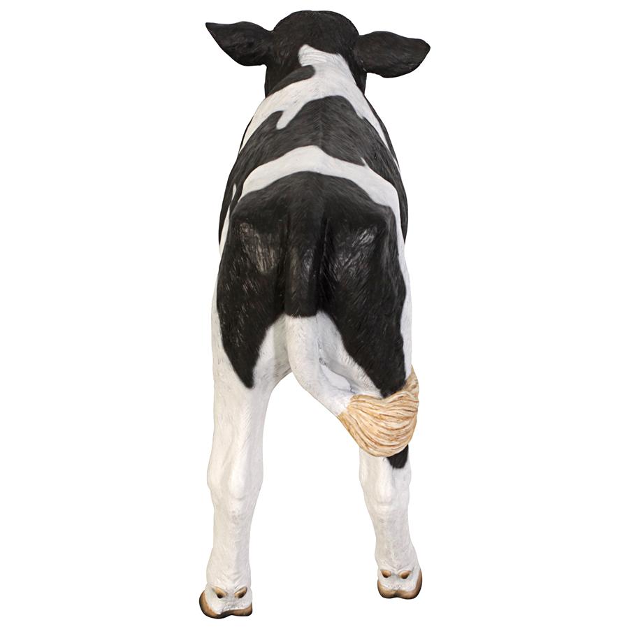 Buttercup, the Life-Size Holstein Calf Dairy Cow Statue