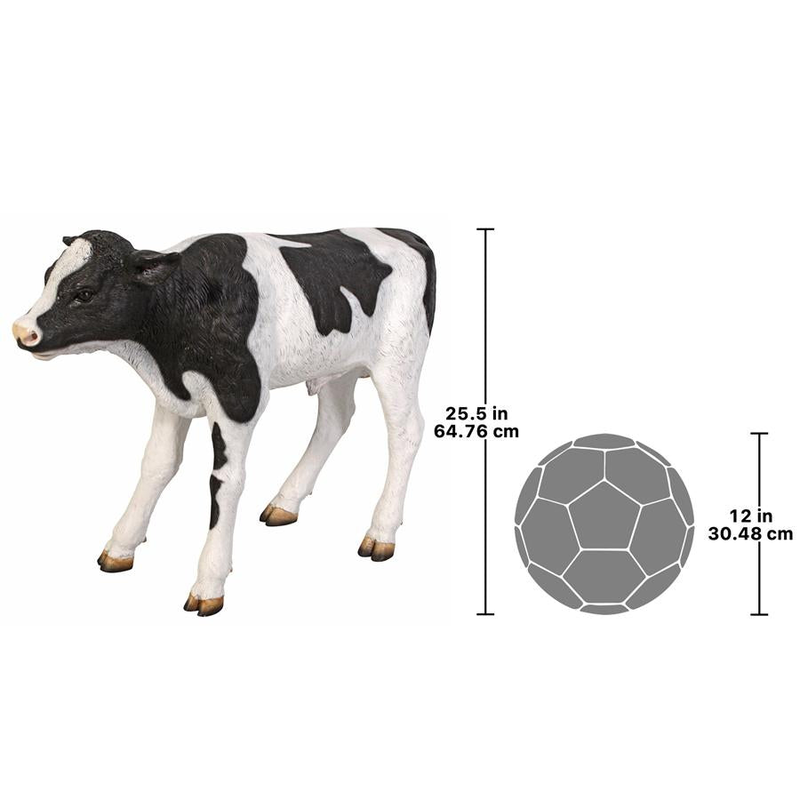 Buttercup, the Life-Size Holstein Calf Dairy Cow Statue