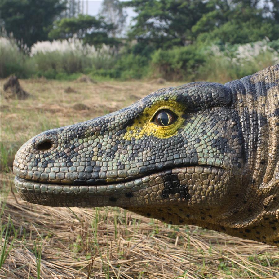 Giant Megalania Monitor Lizard Statue