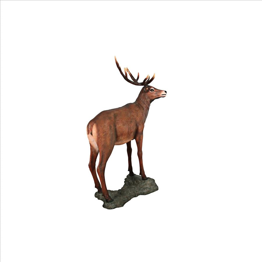 Grande-Scale Red Deer Buck Statue with Base