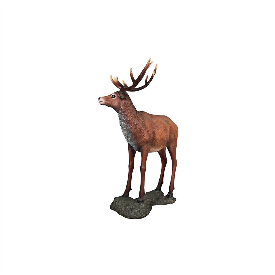 Grande-Scale Red Deer Buck Statue with Base