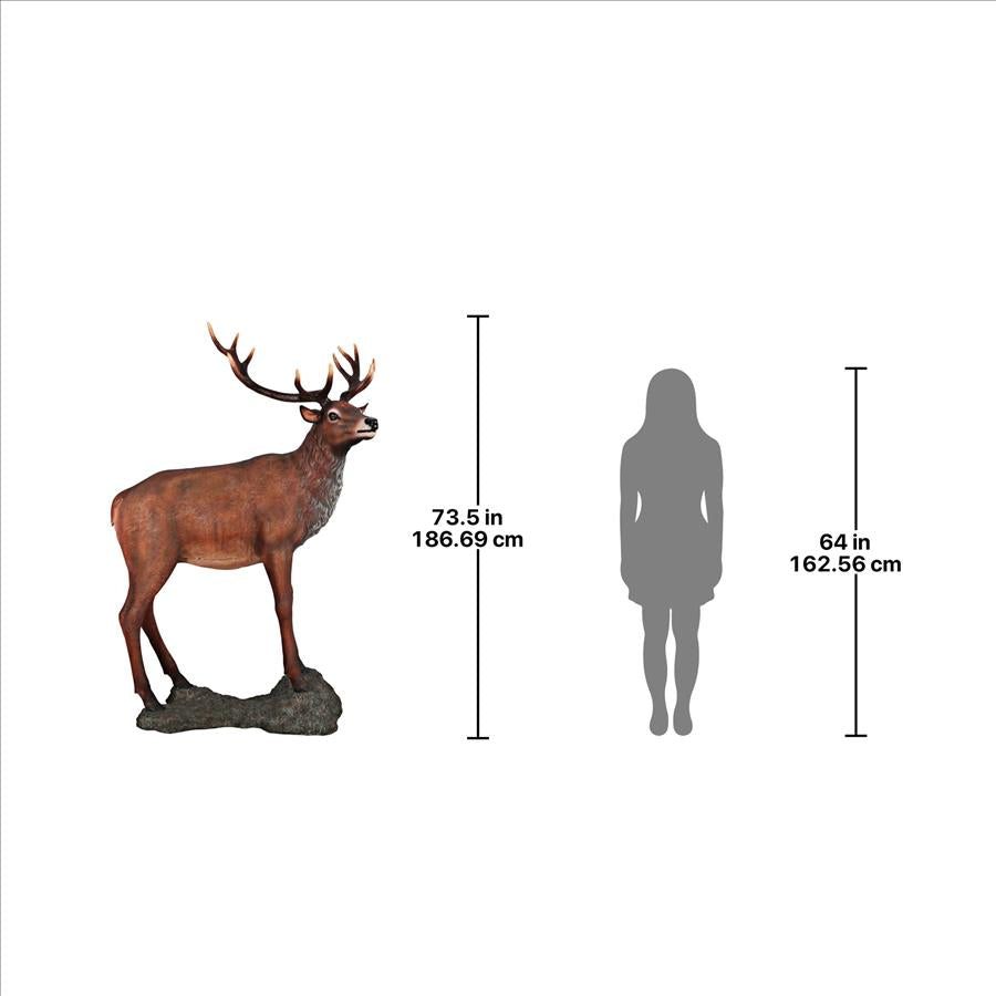 Grande-Scale Red Deer Buck Statue with Base