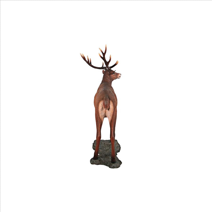 Grande-Scale Red Deer Buck Statue with Base