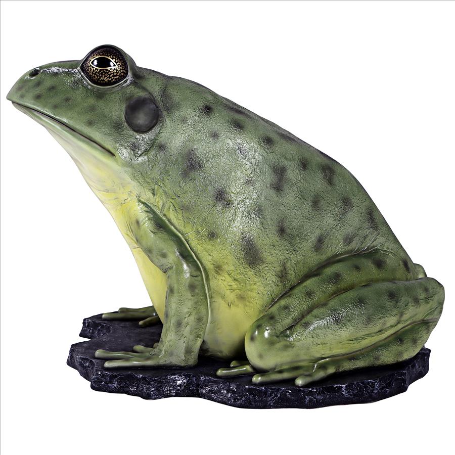 Great Green Barred Frog Statue