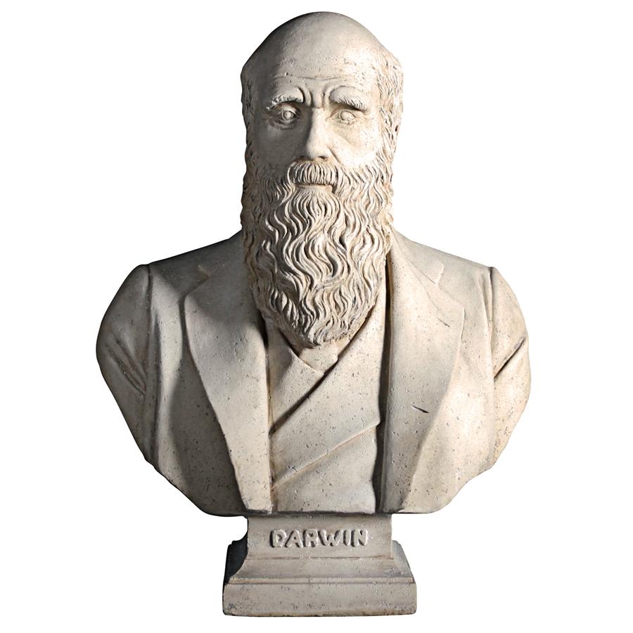 Evolution of Charles Darwin Sculptural Bust