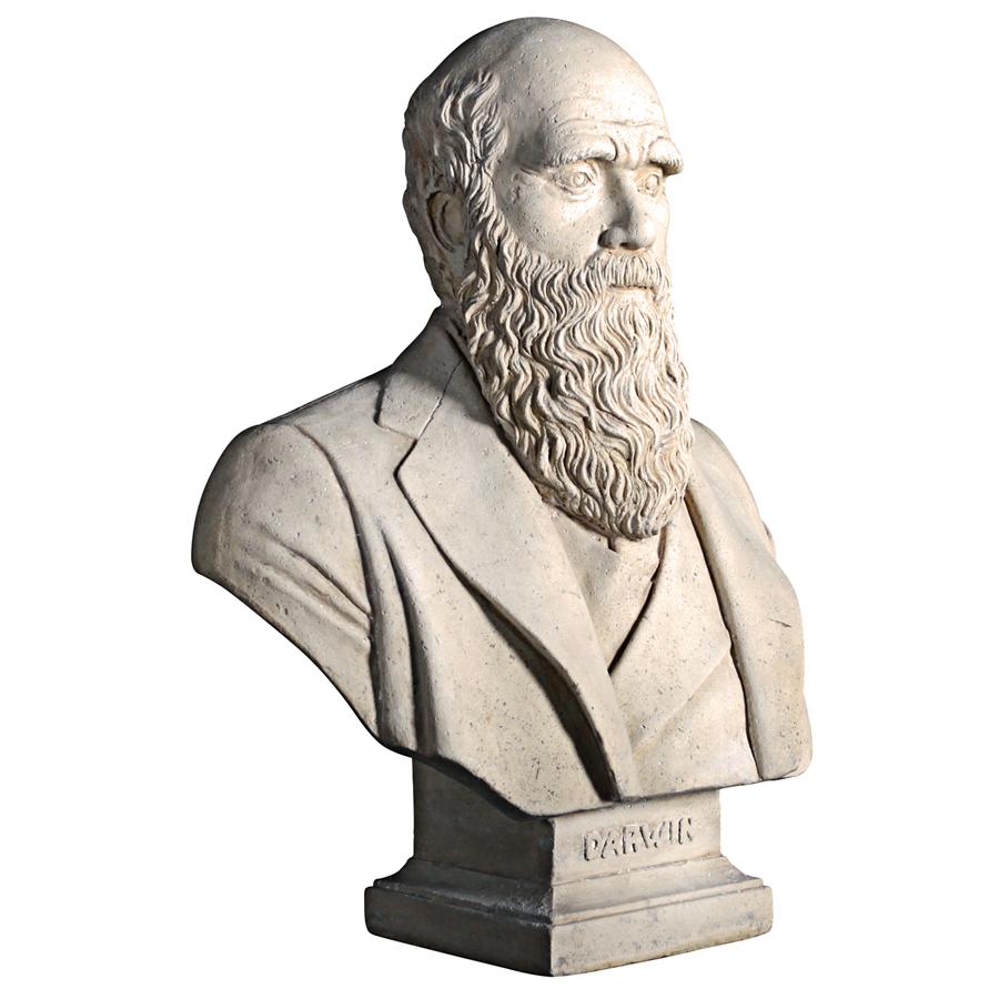 Evolution of Charles Darwin Sculptural Bust