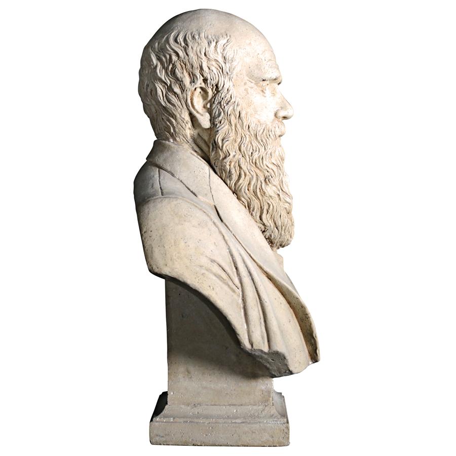 Evolution of Charles Darwin Sculptural Bust