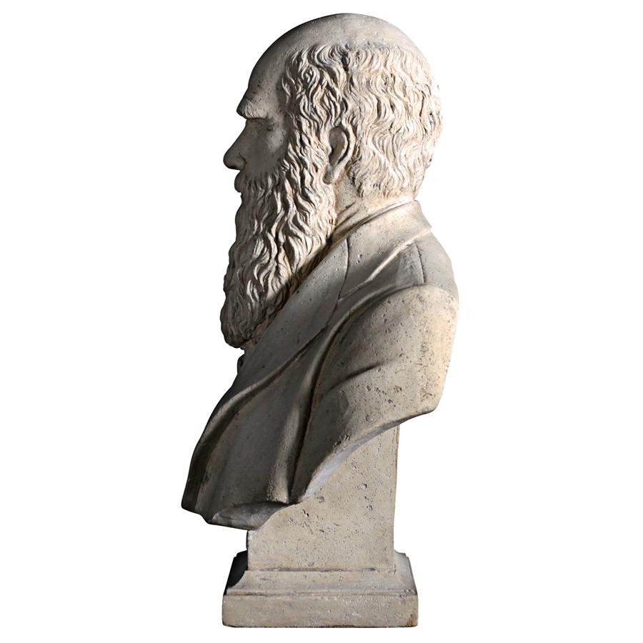 Evolution of Charles Darwin Sculptural Bust