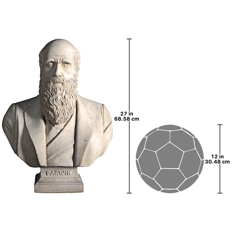 Evolution of Charles Darwin Sculptural Bust