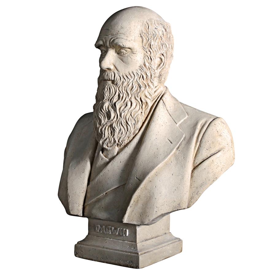 Evolution of Charles Darwin Sculptural Bust