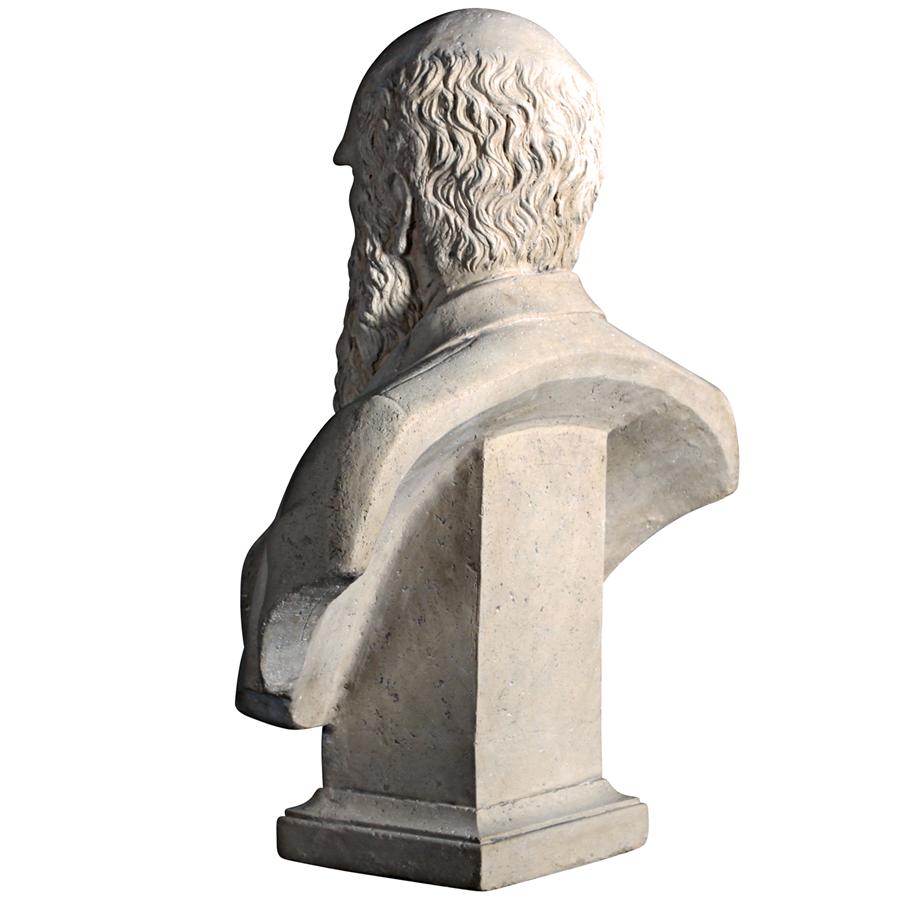 Evolution of Charles Darwin Sculptural Bust