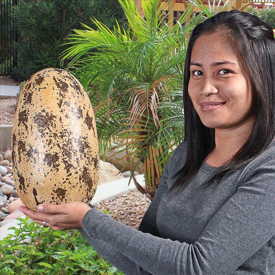 Early Jurassic Theropoda Dinosaur Egg Fossil Statue