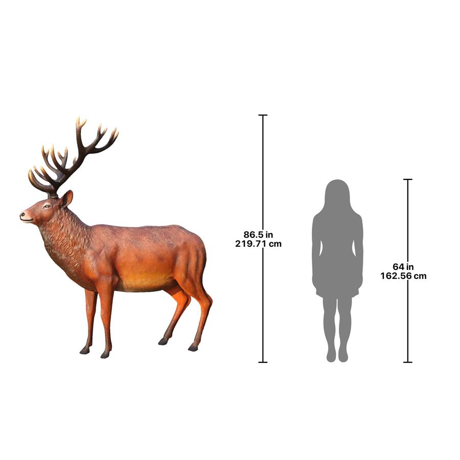 Grande-Scale Red Deer Buck Statue