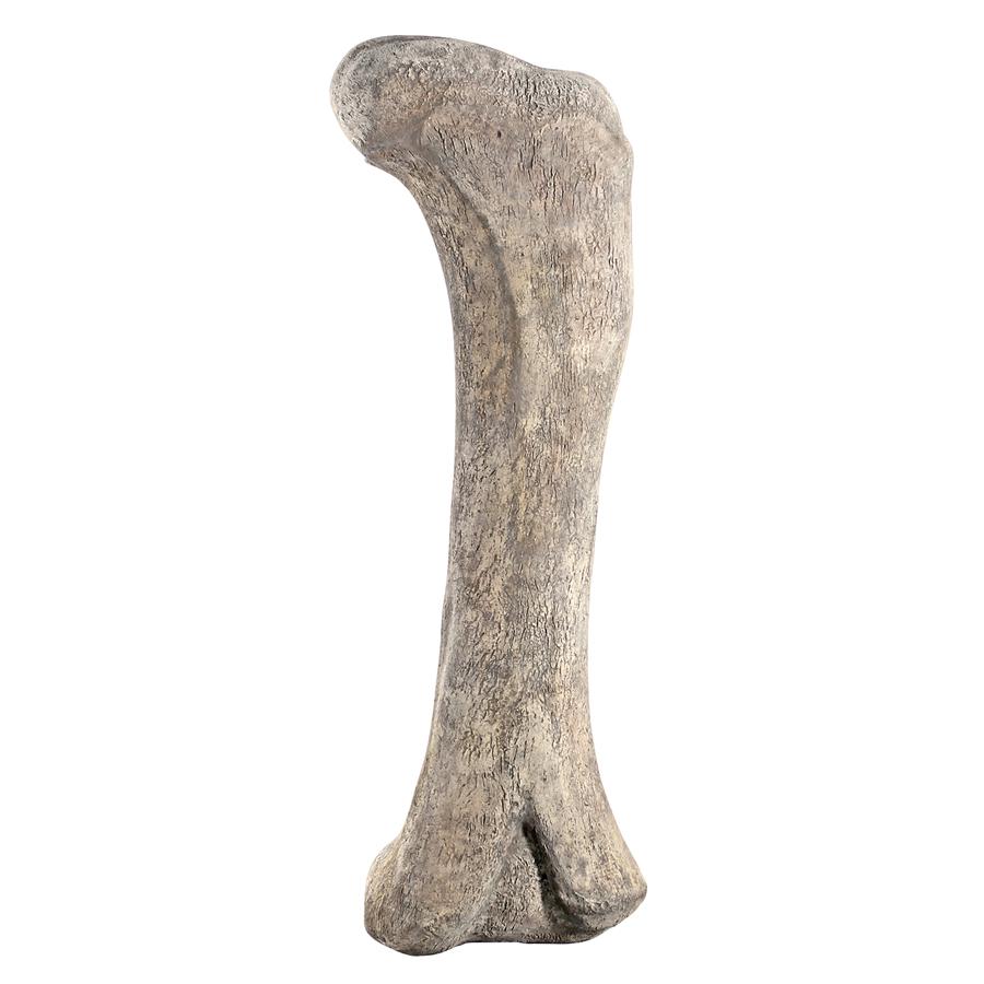 Apatosaurus Femur Bone Fossil Statue