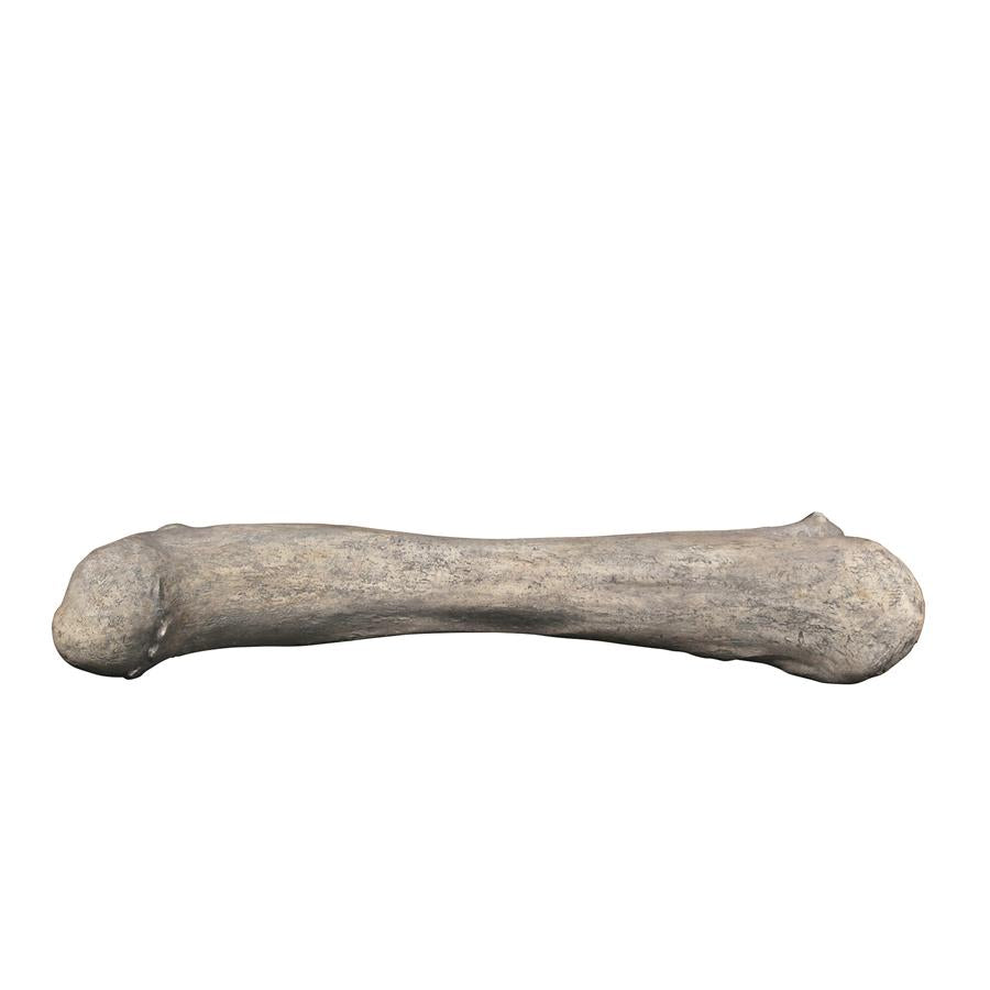 Apatosaurus Femur Bone Fossil Statue