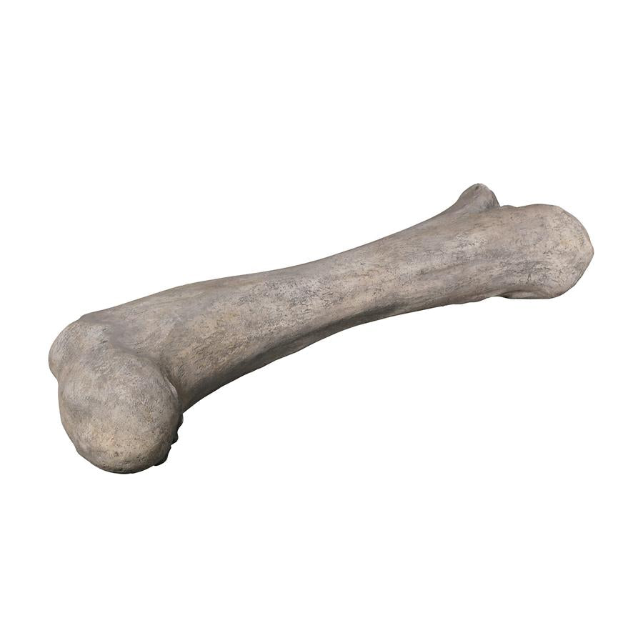 Apatosaurus Femur Bone Fossil Statue