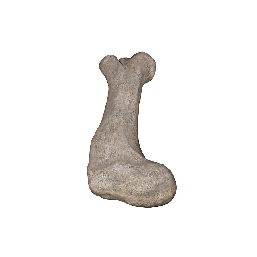 Apatosaurus Femur Bone Fossil Statue