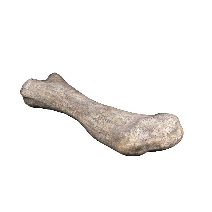 Apatosaurus Femur Bone Fossil Statue