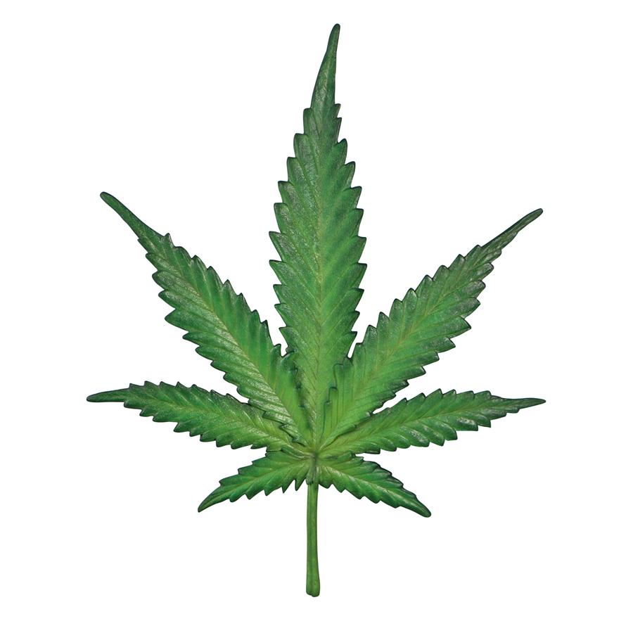 Marijuana Leaf Cannabis Wall Sculpture