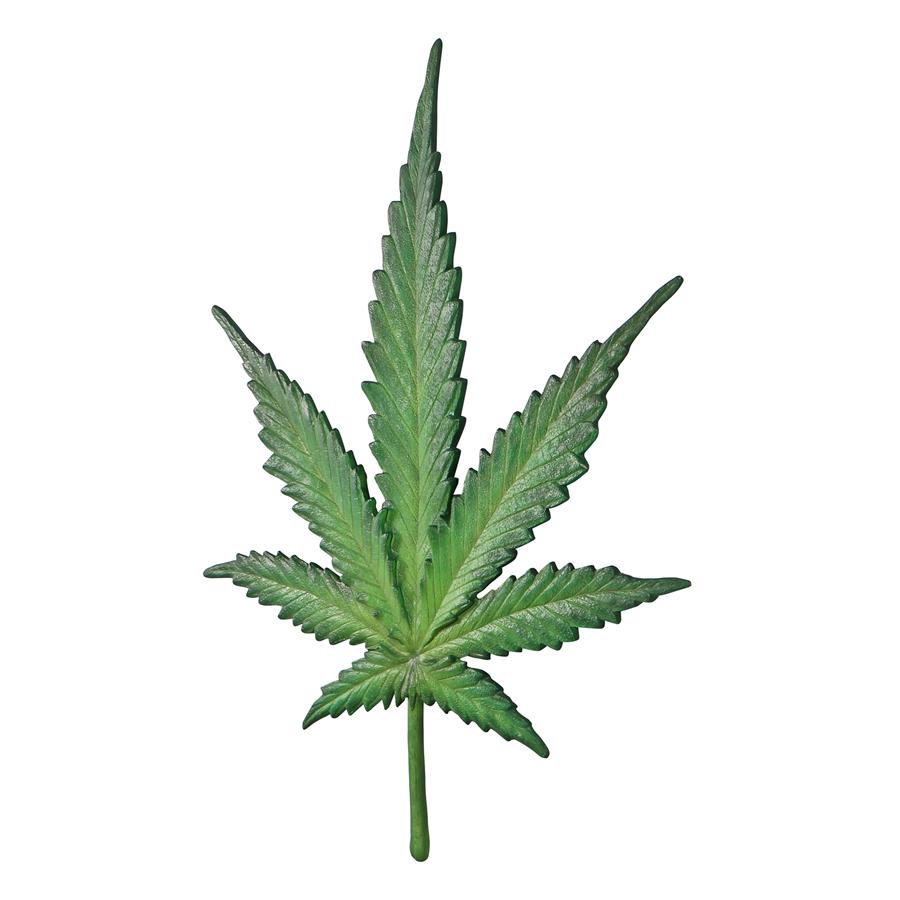 Marijuana Leaf Cannabis Wall Sculpture